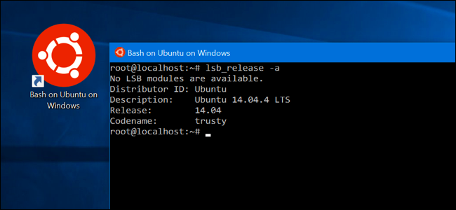 Activar Bash en Windows 10